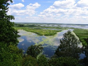 Белая гора. вид с горы на пляжи