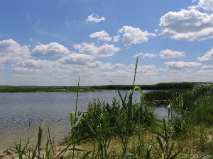 Белая гора. один из пляжей