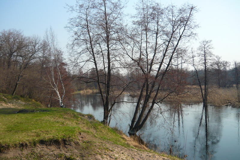 P1050786_новый размер.JPG