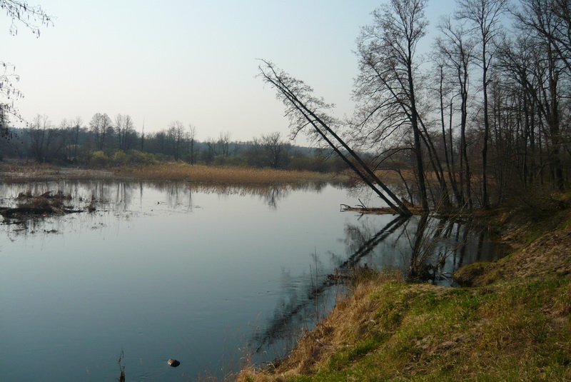 P1050787_новый размер.JPG