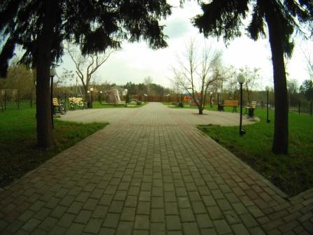 FILE0022.JPG