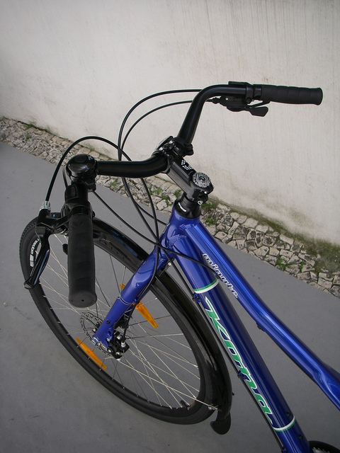Kona 2.jpg