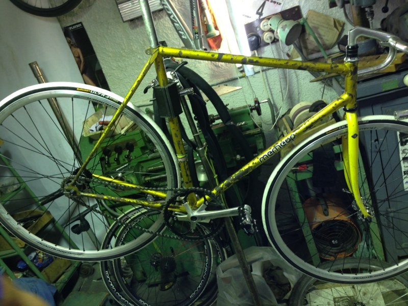 pic_9e86704d-82a6-4a88-8553-c4daf91c1848_l.jpeg