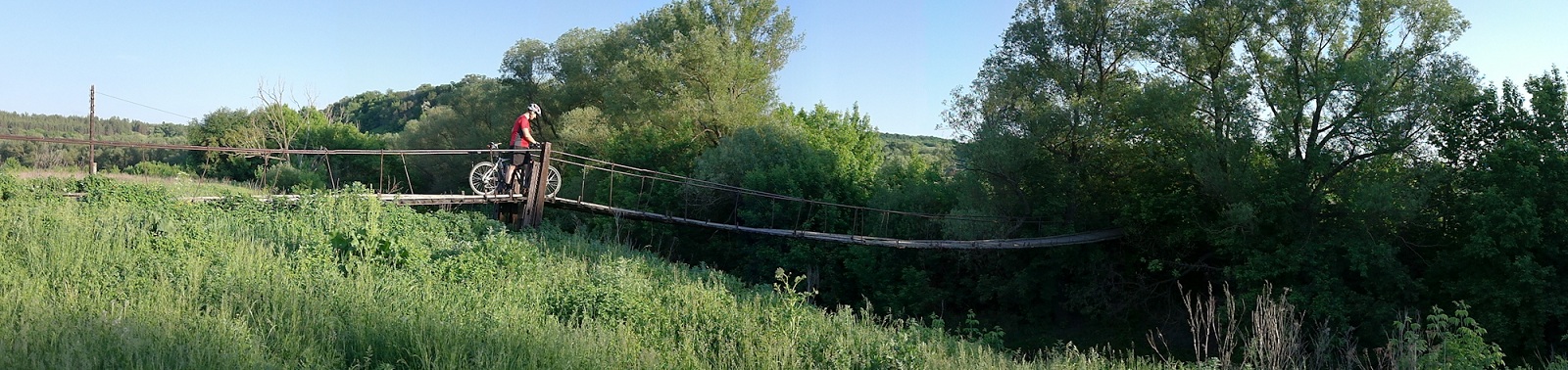 04295139.jpg