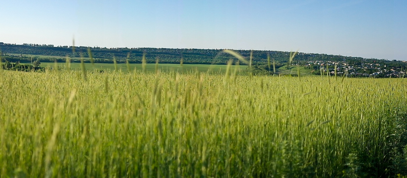 04295142.jpg