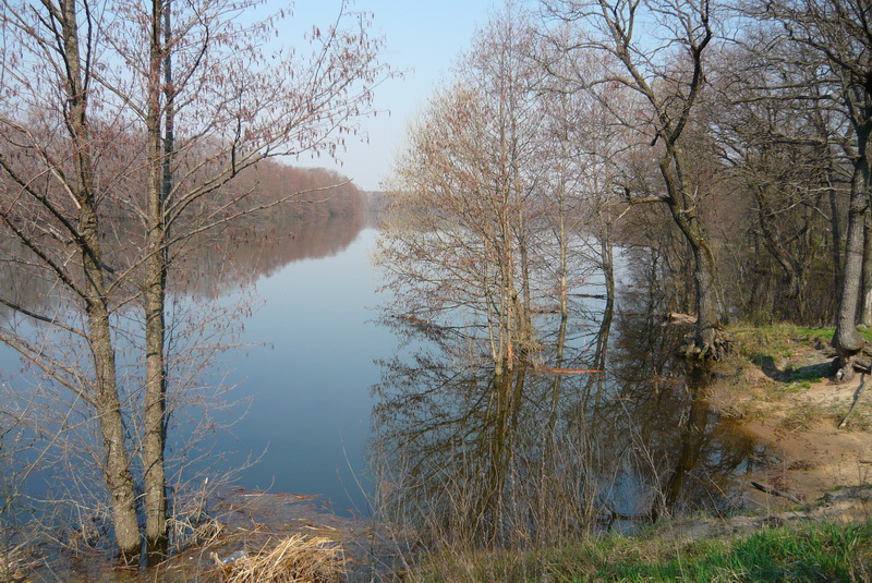 P1050822_новый размер.JPG