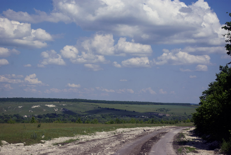 _G103022.jpg