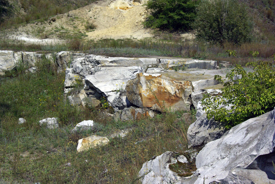 _G101540.jpg