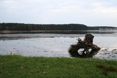 IMG_9874.jpg