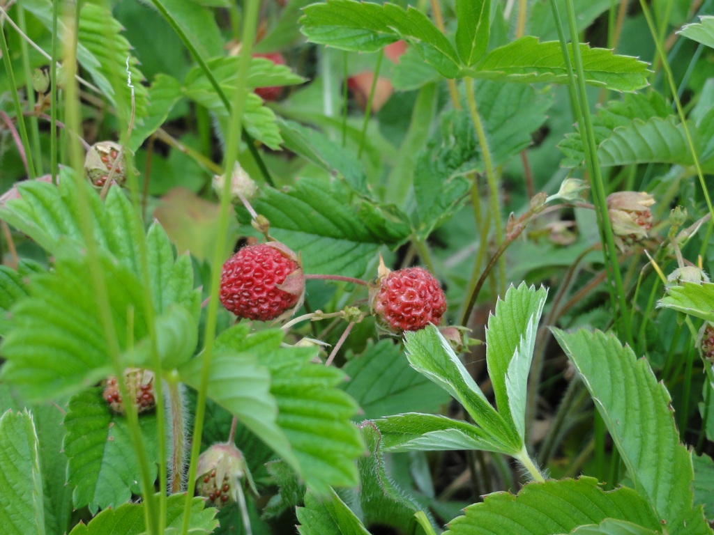 DSC05070_.jpg