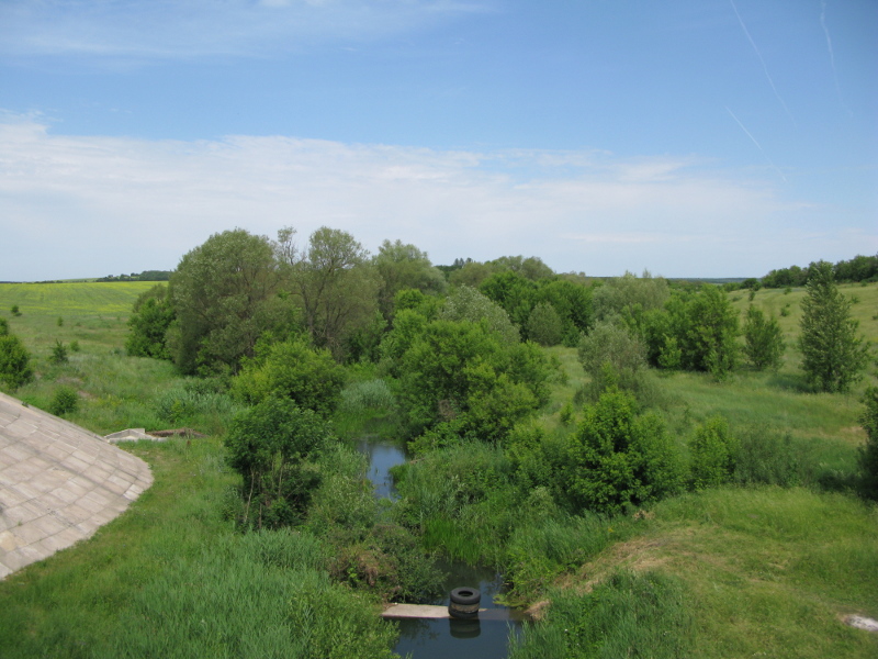 IMG_4136.JPG