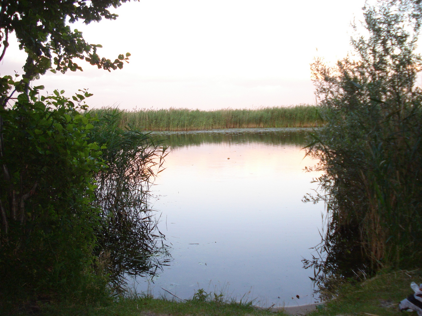 DSC02021.JPG