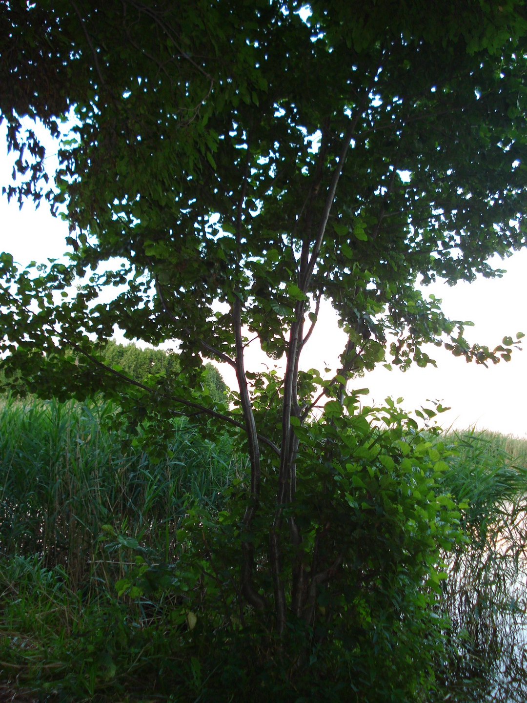 DSC02024.JPG