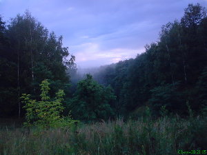 DSC01315.jpg