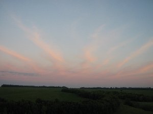 IMG_0554.JPG