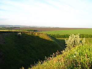 IMG_0577.jpg