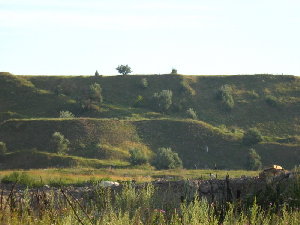 IMG_0579.jpg