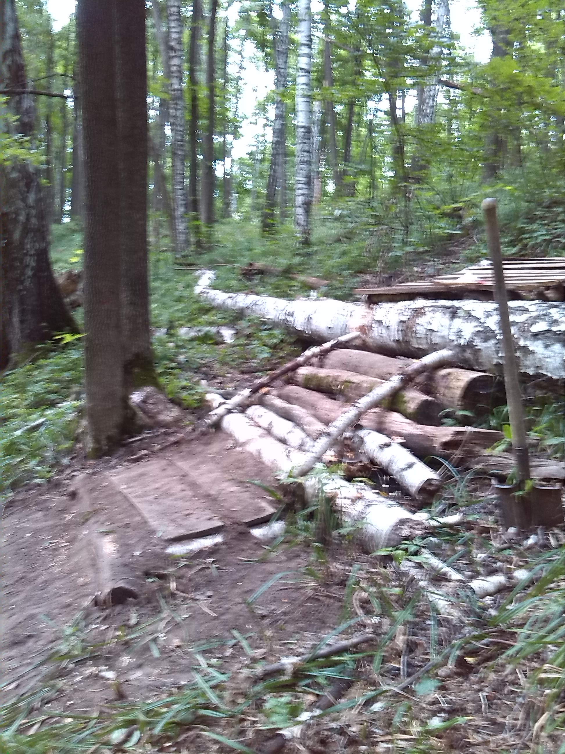 IMG_20130727_184618.jpg