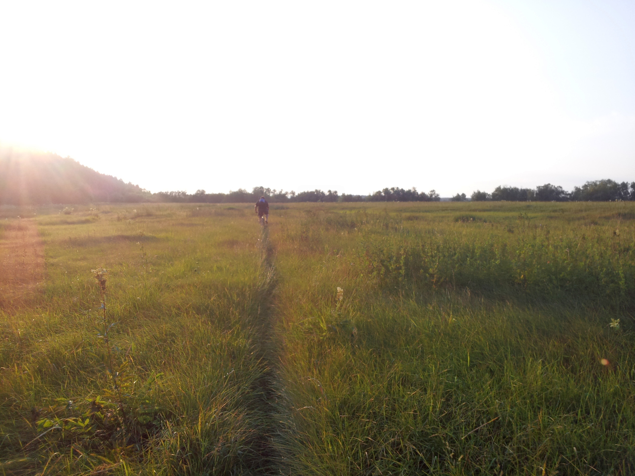 20130801_205250.jpg