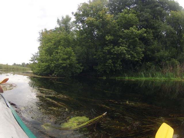 GOPR0385_resize.JPG