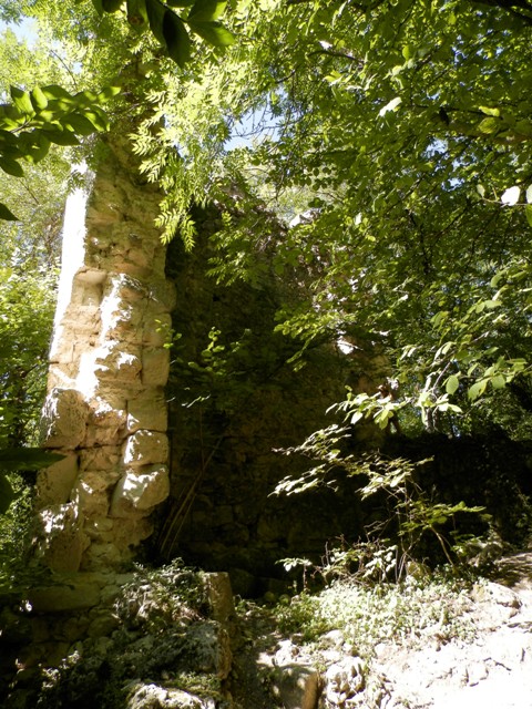 P7240840.jpg