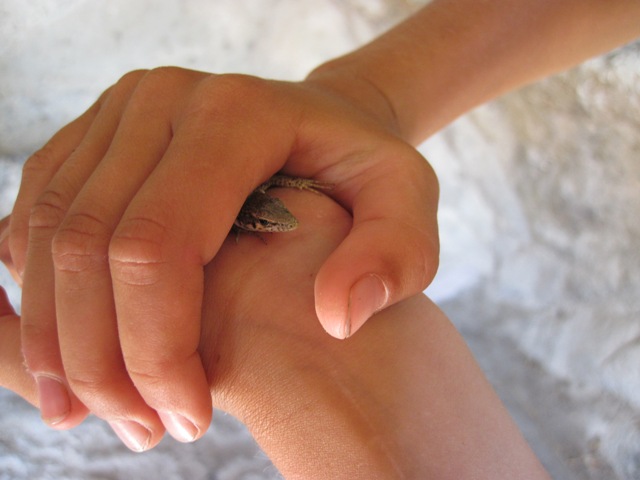 IMG_6578.JPG