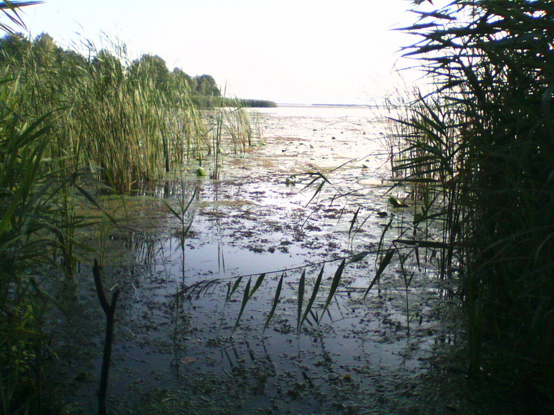 070813-1927_новый размер.jpg
