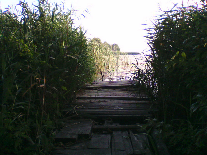 070813-1928_новый размер.jpg