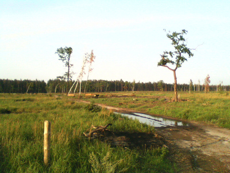 070813-1944_новый размер.jpg