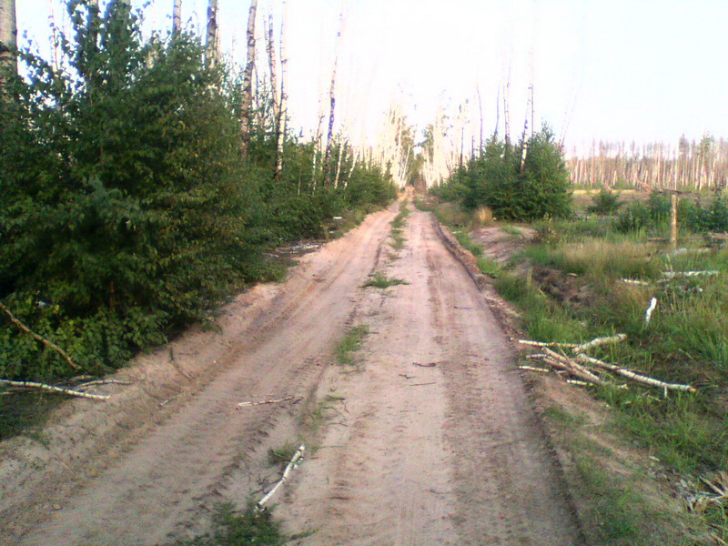 070813-2002(001)_новый размер.jpg