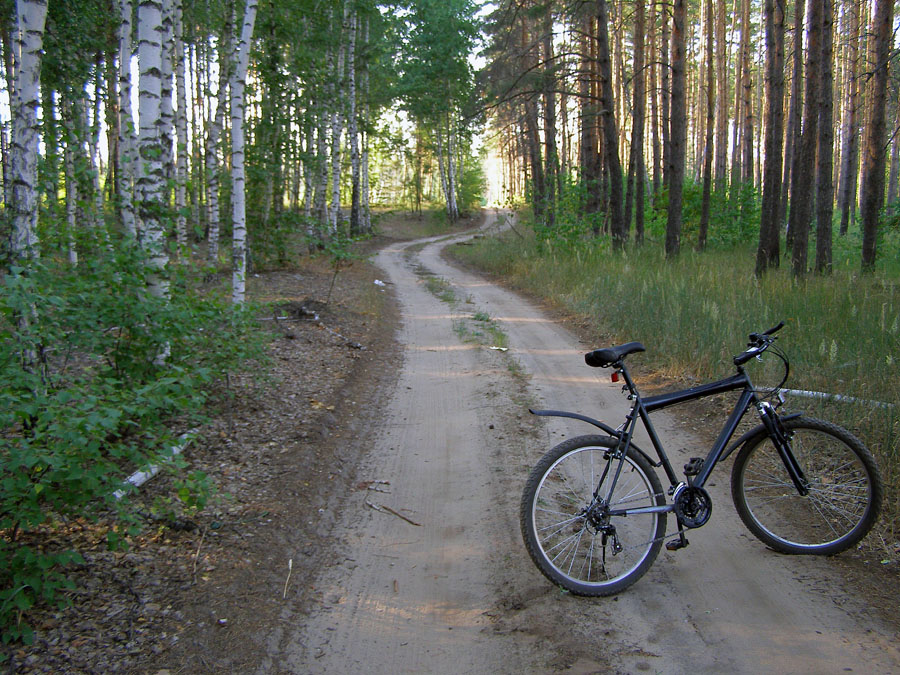 P1016054.jpg