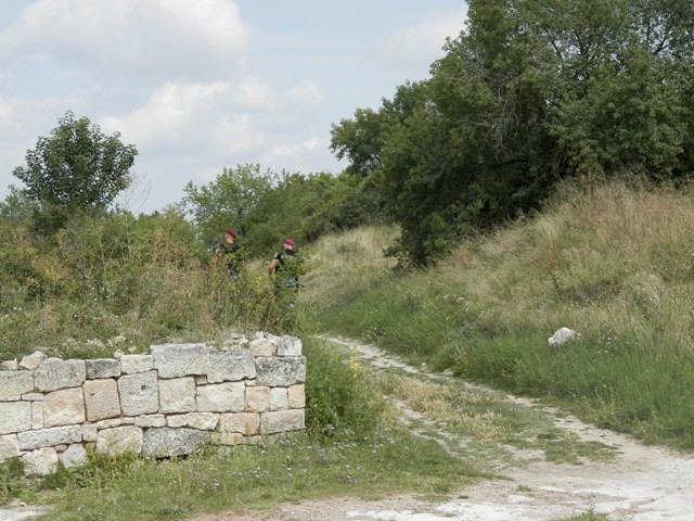 P7210741.jpg