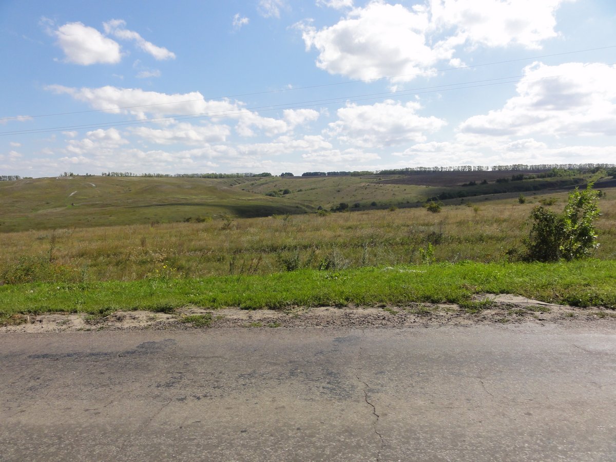 DSC05739_.jpg