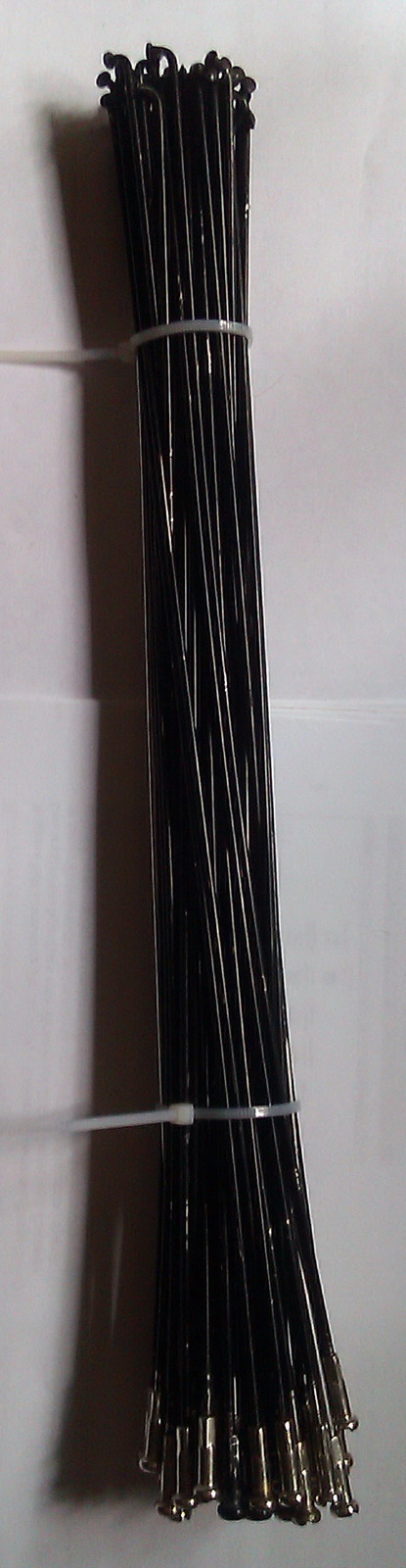 IMAG0373.jpg