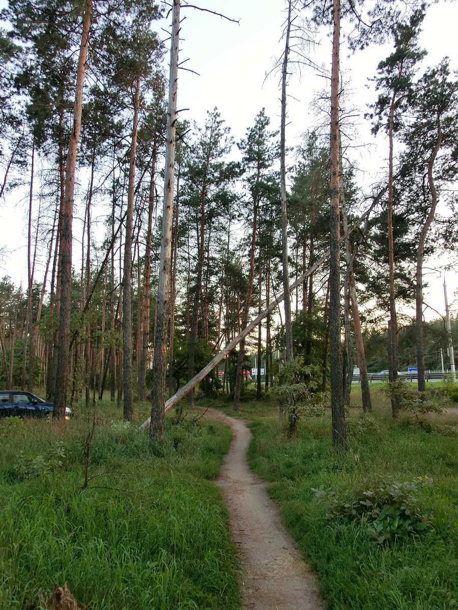 CIMG1043_новый размер.JPG
