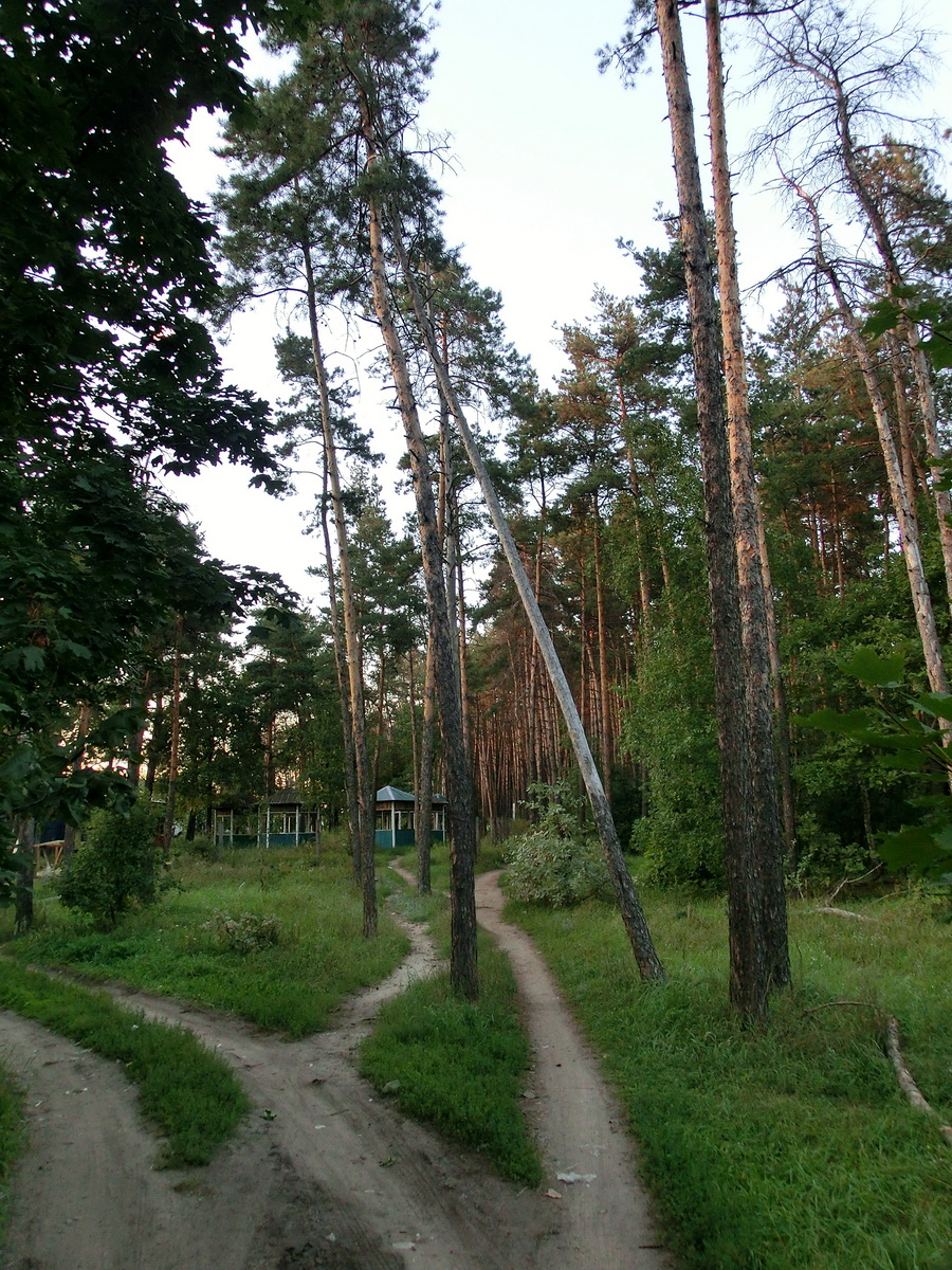 CIMG1044_новый размер.JPG