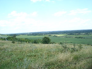 DSC03815_resize.JPG