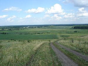 DSC03824_resize.JPG