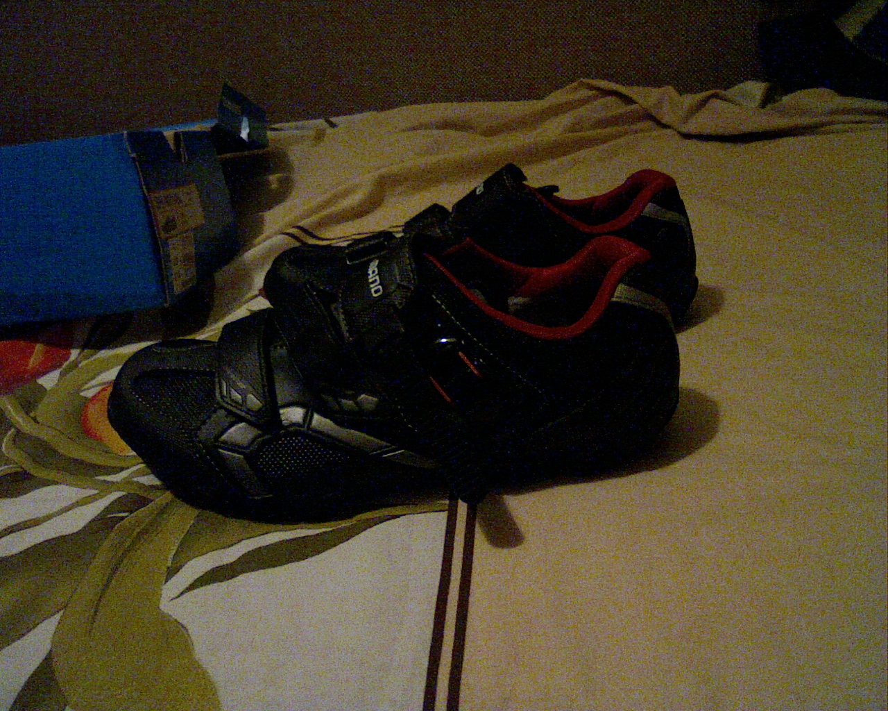 Picture 2.jpg