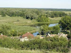 DSC03870_resize.JPG