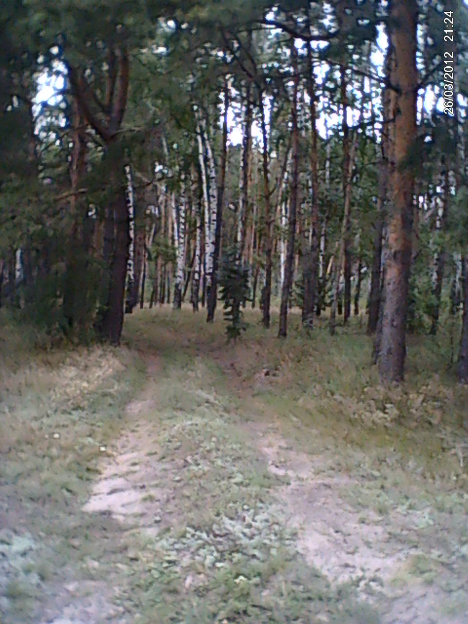 DSC_0000025.jpg