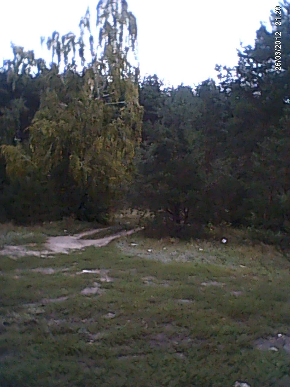 DSC_0000022.jpg