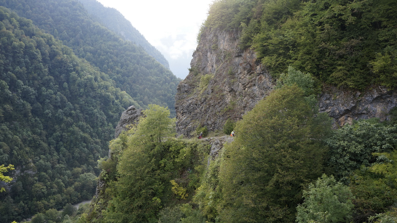 Лесовозная дорога.