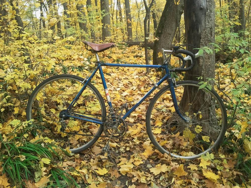 Resize of 2013-10-11 10.40.29.jpg