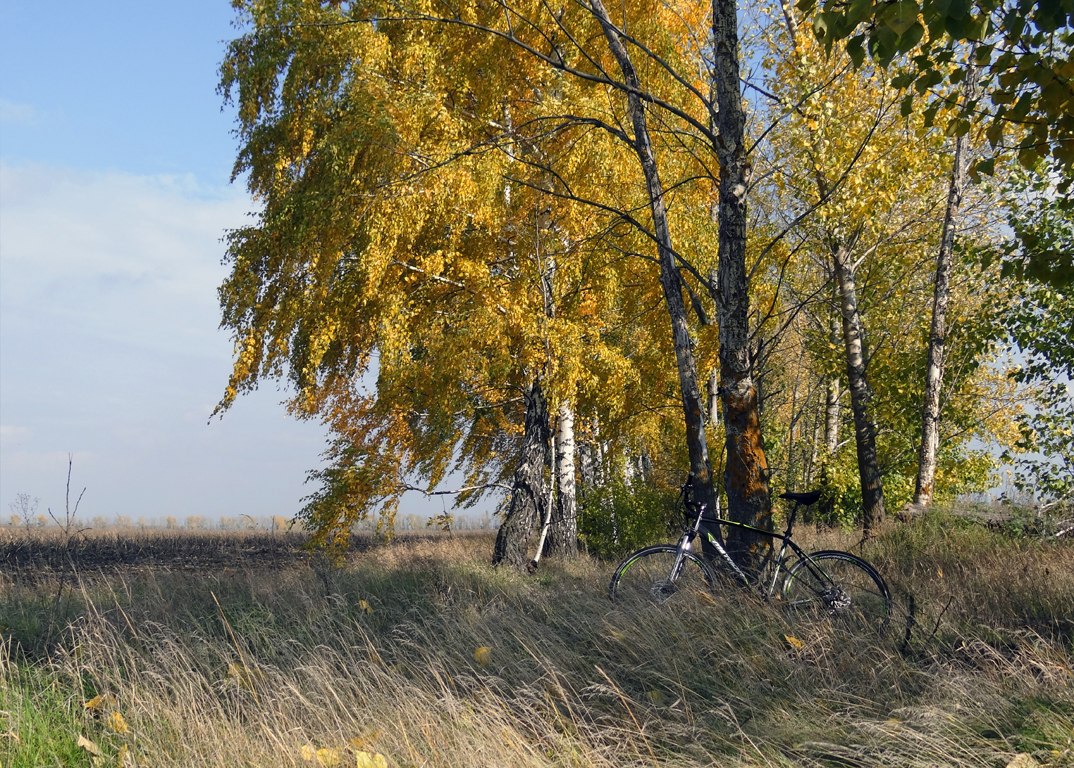 KjL85d9LumA.jpg