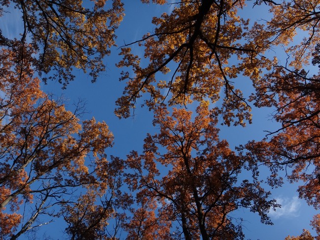 DSC01175.JPG