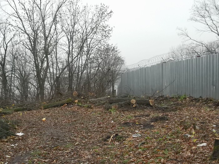 fence1.jpg