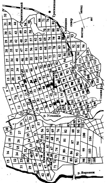 Квартальная сеть 2.jpg