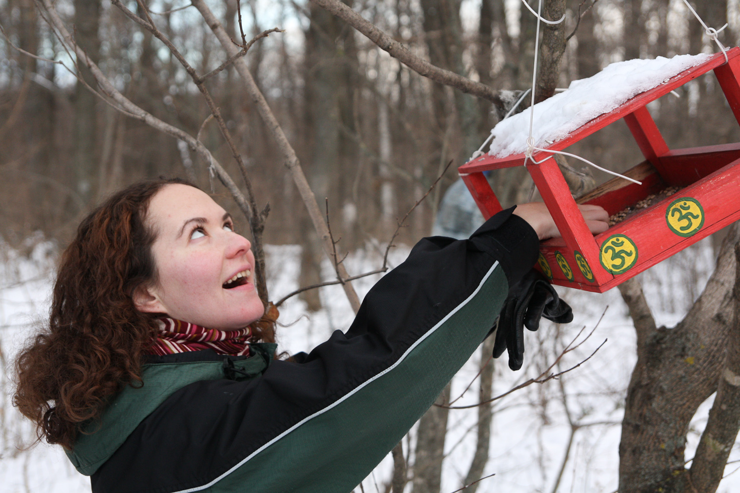 2013_12_14_1387_a.jpg