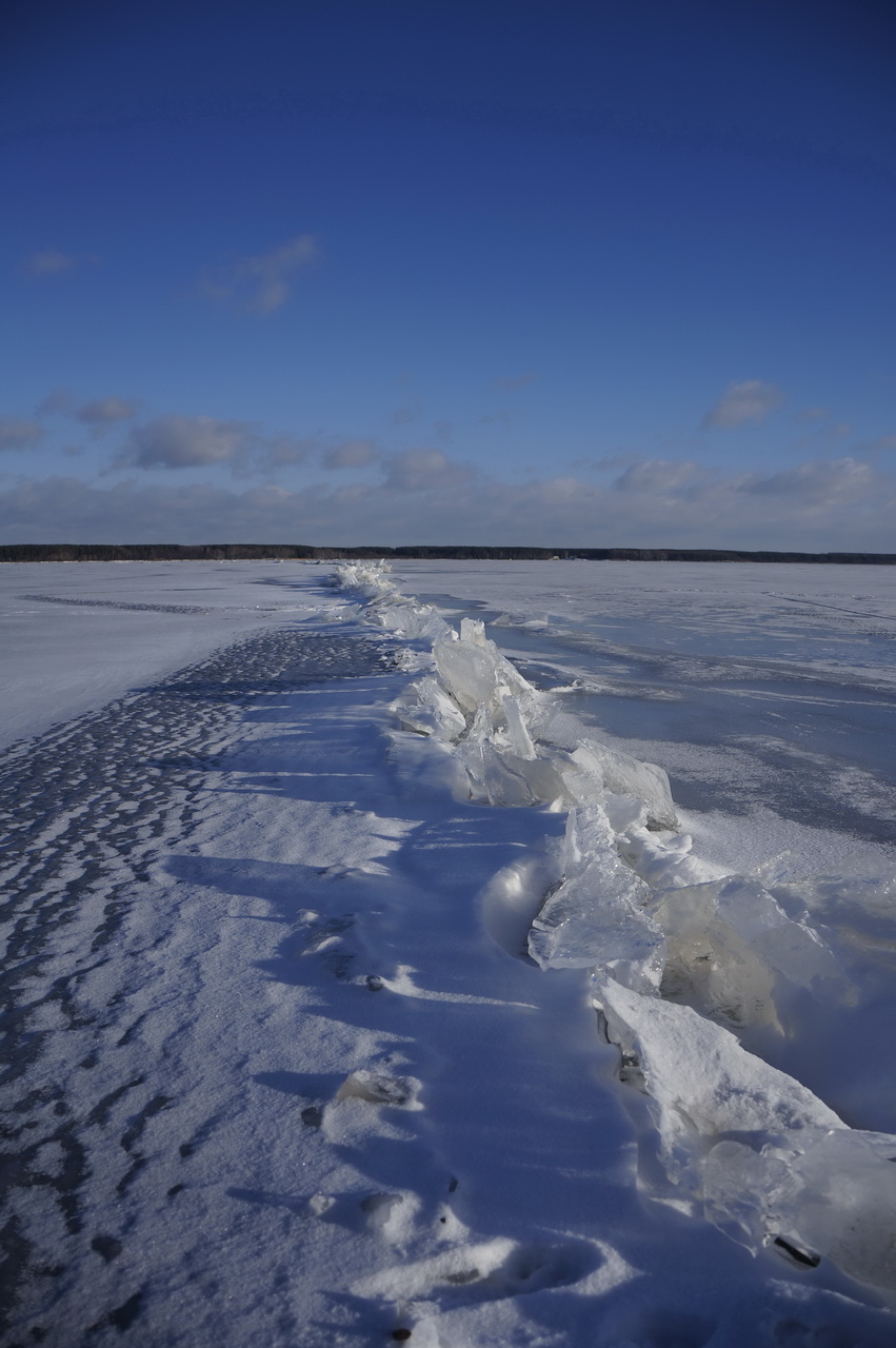 _DSC9518.jpg
